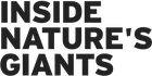 Inside Nature's Giants