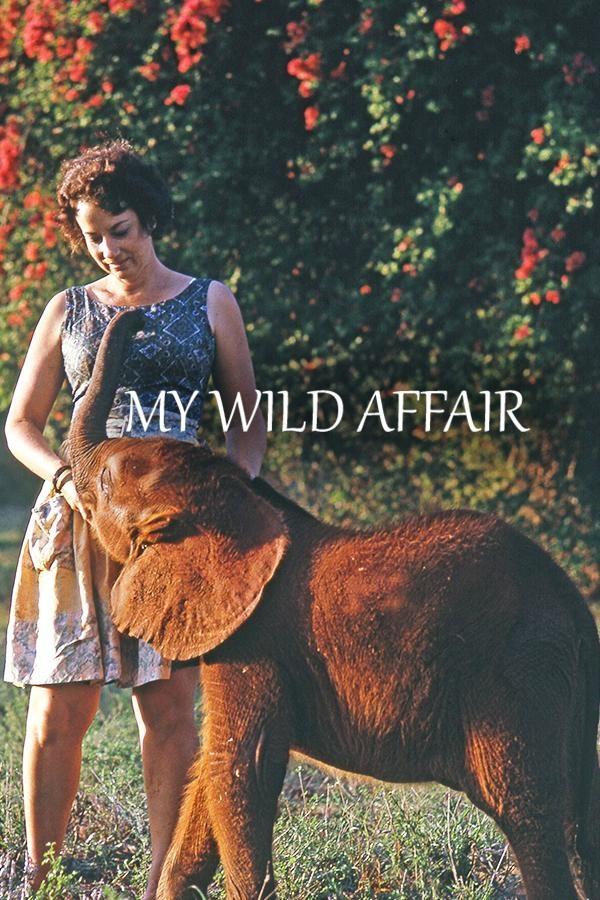 My Wild Affair on iTunes