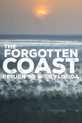 The Forgotten Coast: Return to Wild Florida