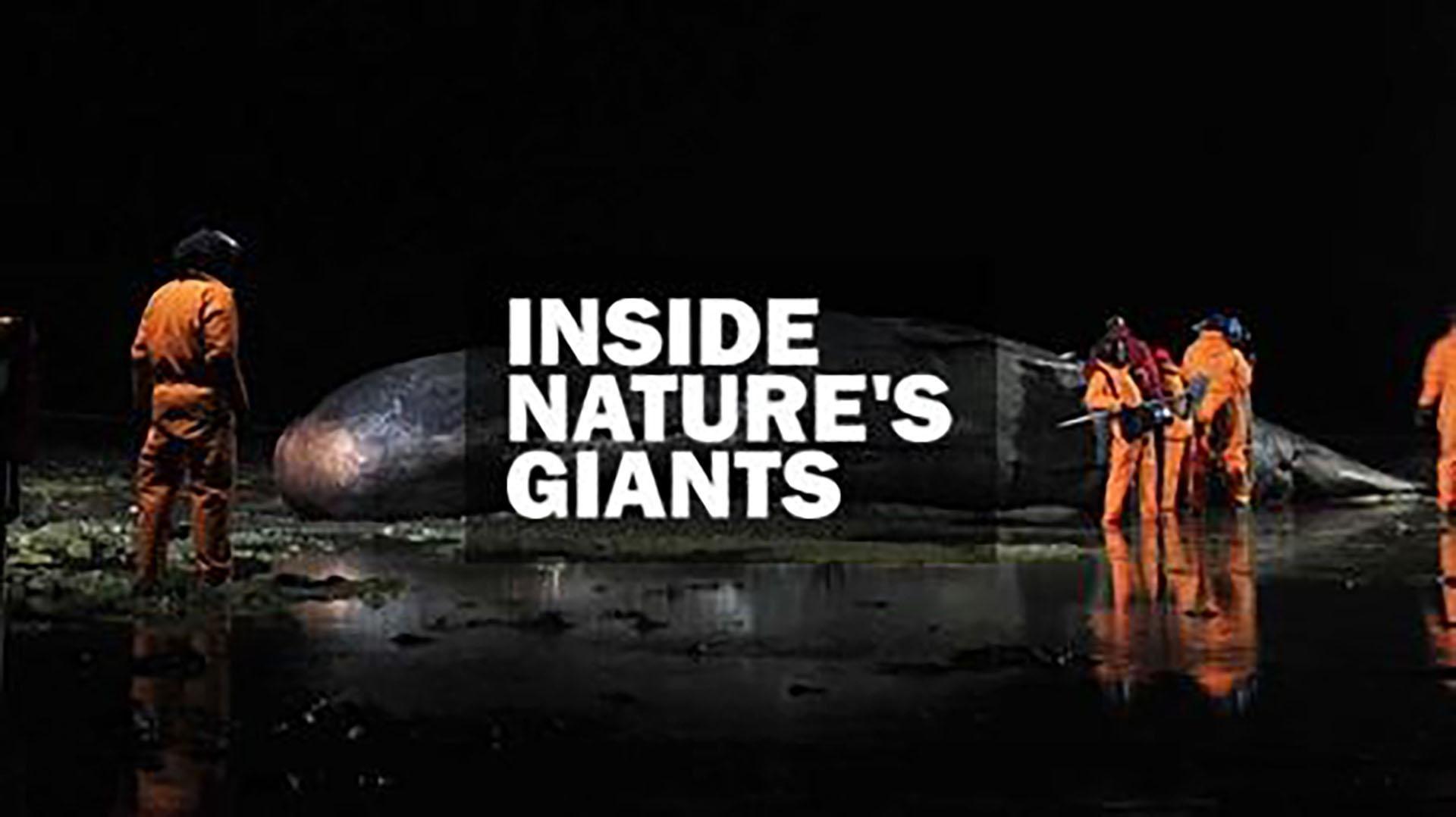 Inside Nature's Giants