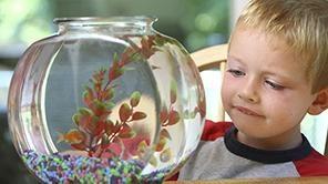 Help Kids Build Empathy by Caring for Living Things