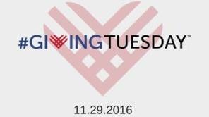 Giving Tuesday Advice to Donate to Charity Effectively