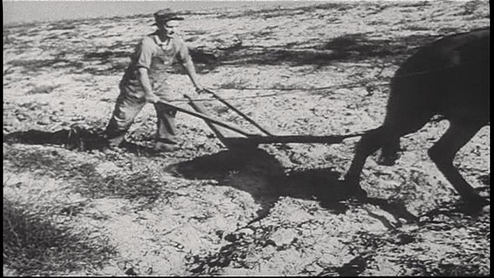 Scramble for africa essay