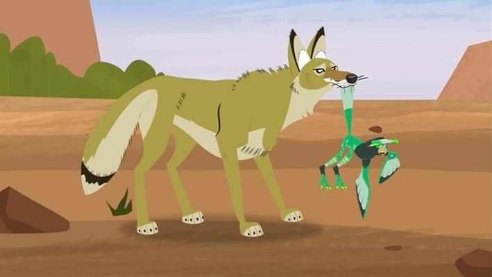 Misadventures and Mystery in the Sonoran Desert | Wild Kratts | Science