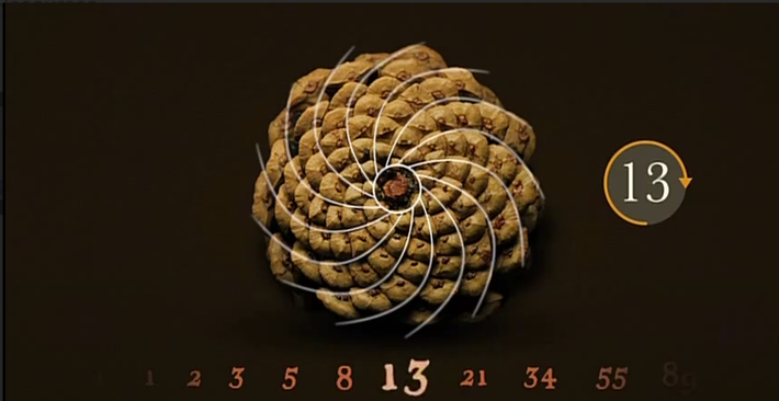 Pi The Fibonacci Sequence Math Video PBS LearningMedia