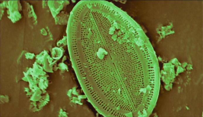 Diatoms Measure Climate Change