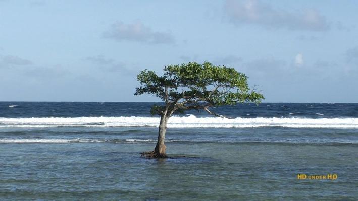 Micronesia's Changing Climate