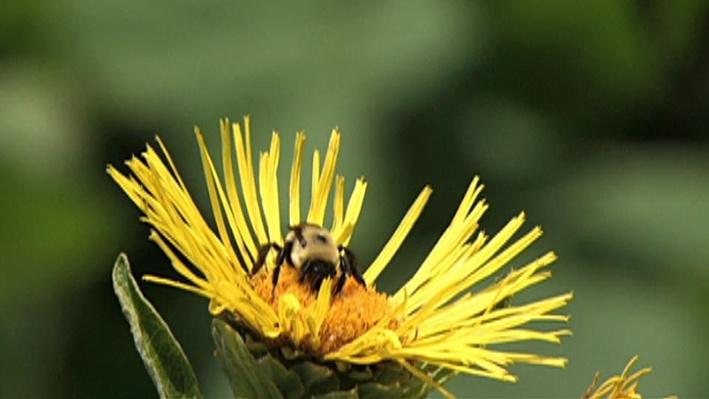 Navajo Reflections on Climate Change