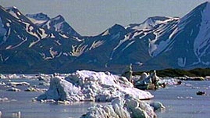 Arctic tundra essay   vialuz.net