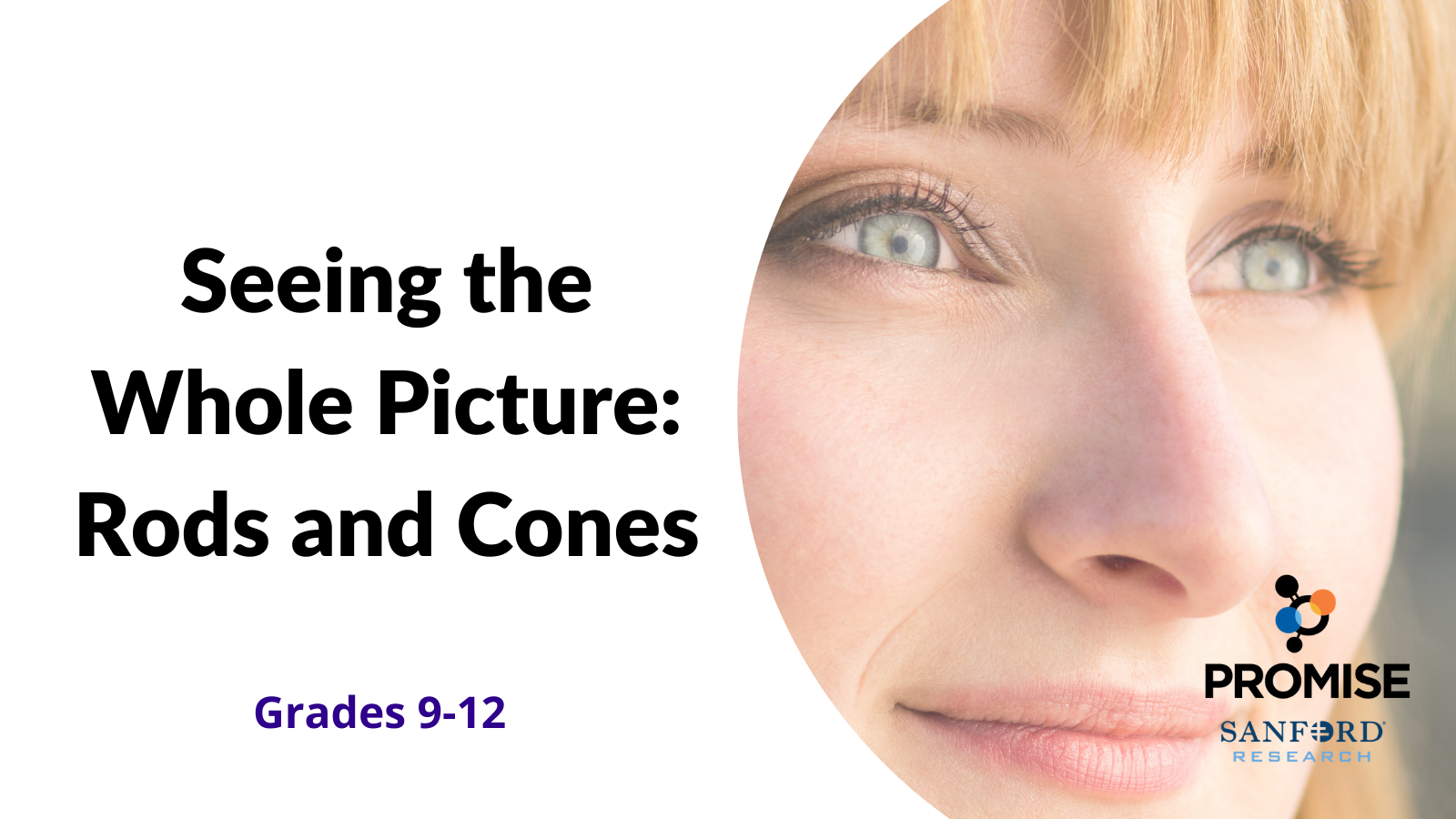 Seeing The Whole Picture Rods And Cones Lesson Plan Sanford