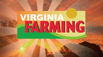 Farmer Trading Cards