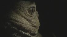 Video thumbnail: Big Pacific Next on Episode 4