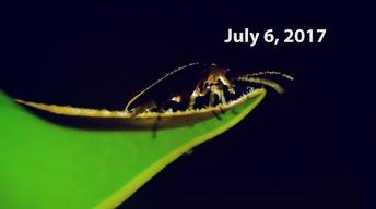 SciTech 406 7/6/17