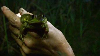 Frog Gigging and Fishing Memories