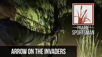 Arrow on the Invaders