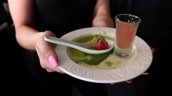 Check Please Tasting Tour: Gulfstream Park