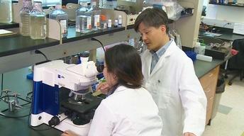 Aug. 11, 2017 | Helping brains recover from Alzheimer’s