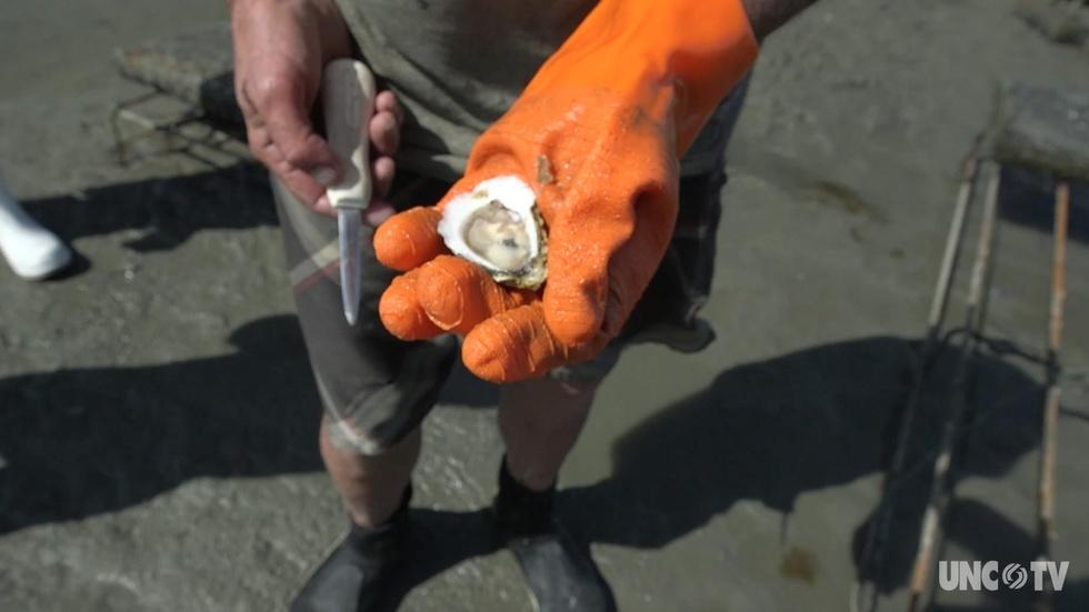The Scientist and the Oysterman image