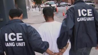 S36 Ep5: How “Operation Matador” Swept Up Immigrant Teens