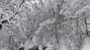 News Wrap: Wind chill warnings stretch across Eastern U.S.
