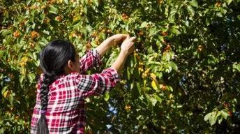Low-wage immigrant workers vulnerable to sexual abuse
