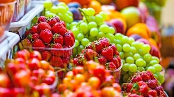 Prescription Produce; Affirmative Action; JumpStart Startup