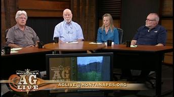 The Bugs Of Montana: The Good, The Bad, And The Ugly ( 4801)