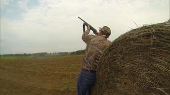 Dove Hunting for a Common Cause