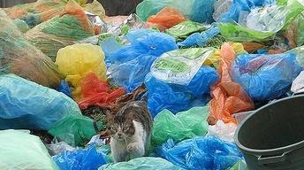 The world is 'drowning' in trash. But can it be a resource?
