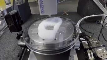 NC Science Now: 3-D Organs