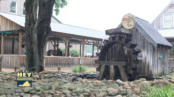 Wild Wolf Brewery