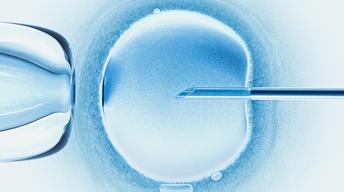 Pressure for IVF success obscures ethical issues