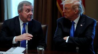 How Trump’s reported slur could affect immigration politics