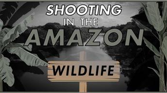 S30: Filming with Wildlife