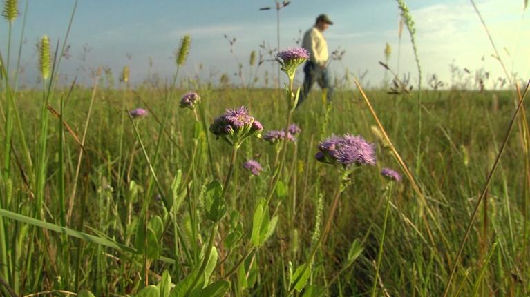 Texas Parks And Wildlife | PBS