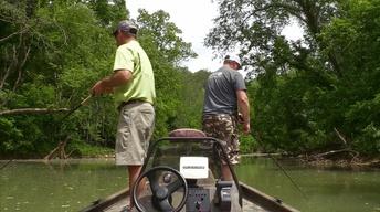 Muskie Fishing and Medicinal Plants