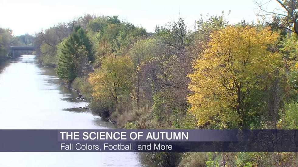 The Science Behind Fall Colors, Football and More image