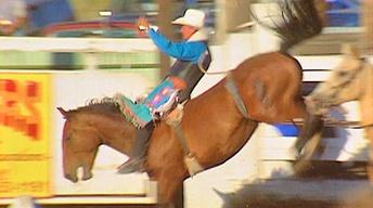 Small Town Rodeo