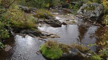 Idaho Headwaters