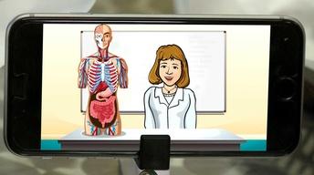 Digestive System