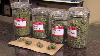 Up In Smoke: Legalizing marijuana in Washington State image