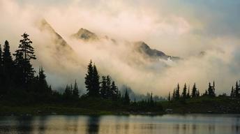 Out of the Mist image