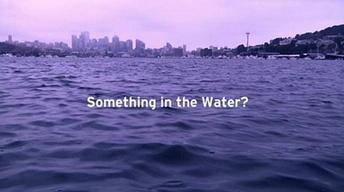 Something in the Water (Trailer) image