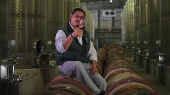 Musica, Vida y Vino