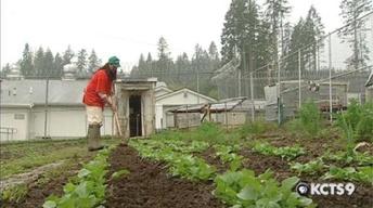 Green Prison Reform: KCTS 9 Connects image