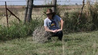 Oklahoma Road Trip: Tumbleweeds