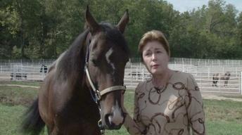 Longmeadow Rescue Ranch image
