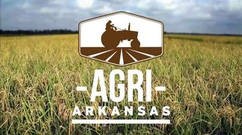 Agri Arkansas November 2016