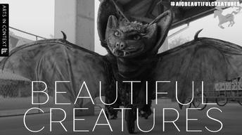 Beautiful Creatures TRAILER