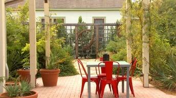 Stephen Orr and Tomorrow's Garden